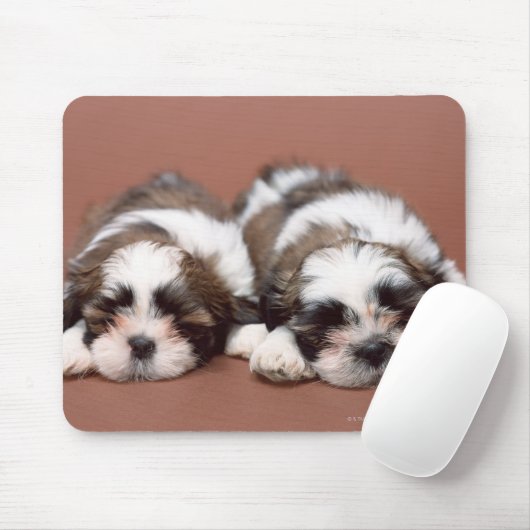 Shih Tzu Muismat (Met muis)