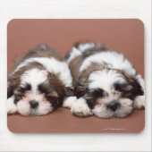 Shih Tzu Muismat (Voorkant)