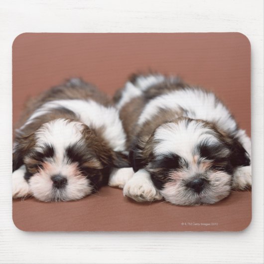 Shih Tzu Muismat (Voorkant)