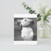 Shih Tzu Nap Briefkaart (Staand voorkant)
