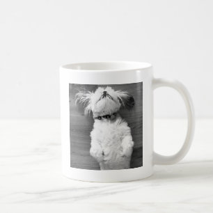 Shih Tzu Nap Koffiemok