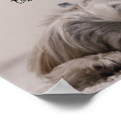 Shih Tzu Nap Poster (Hoek)