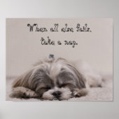Shih Tzu Nap Poster (Voorkant)
