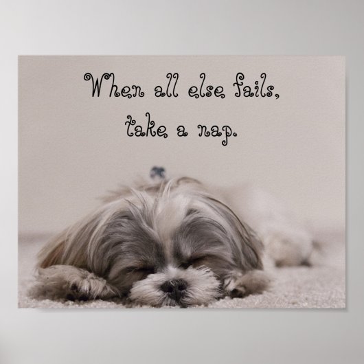 Shih Tzu Nap Poster (Voorkant)