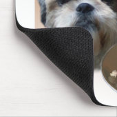 Shih Tzu (natuurlijk) Turkije Muismat (Hoek)