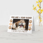 Shih tzu niet grappig verjaardag 1 jaar ouder Groe Kaart (Gele Bloem)