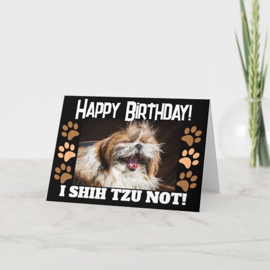 Shih tzu niet lachend leuk Verjaardagsgroet  Kaart (Voorkant)