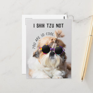 Shih Tzu Niet leuk leuke hondenliefhebbers Custom  Briefkaart