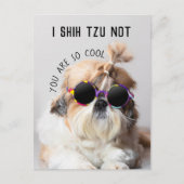 Shih Tzu Niet leuk leuke hondenliefhebbers Custom Briefkaart (Voorkant)