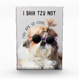 Shih Tzu Niet leuk leuke hondenliefhebbers Custom  Fotoblokken