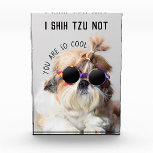 Shih Tzu Niet leuk leuke hondenliefhebbers Custom Fotoblokken