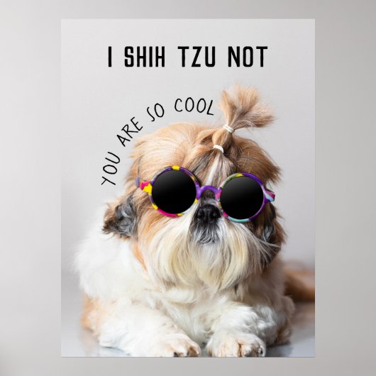 Shih Tzu Niet leuk leuke hondenliefhebbers Custom  Poster (Voorkant)