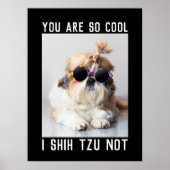 Shih Tzu Niet leuk schattig cool hond Aangepaste t Poster (Voorkant)