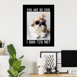 Shih Tzu Niet leuk schattig cool hond Aangepaste t Poster