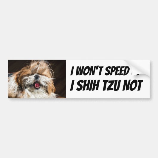 Shih tzu niet Zal niet versnellen grappige lieve h Bumpersticker (Voorkant)