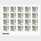 Shih Tzu noemde Liz Sticker (Vel)