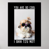 Shih Tzu Not fun cute dog lovers Custom Photo text Poster (Voorkant)