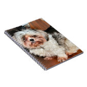 Shih Tzu Notitieboek (Rechterzijde)