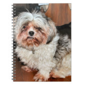 Shih Tzu Notitieboek (Voorkant)