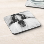 Shih Tzu Onderzetter (Linkerzijde)