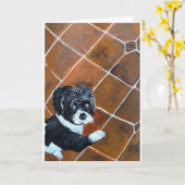 Shih Tzu op terrasschildering van Alfred Fox Kaart (Gele Bloem)