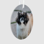 Shih tzu ornament (voorkant)