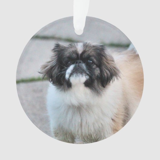 Shih tzu ornament (voorkant)