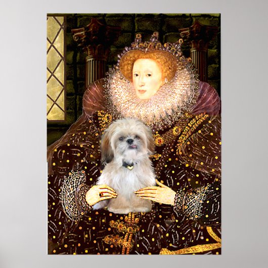 Shih Tzu (P) - Koningin Poster (Voorkant)
