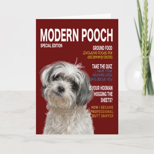 Shih Tzu Parody Magazine Hoesje Card Kaart (Voorkant)