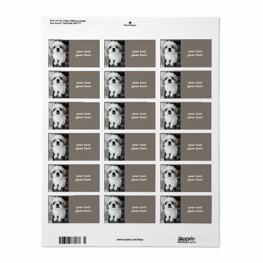 Shih Tzu Persoonlijke Adresetiketten Etiket (Full Sheet)