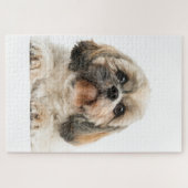 Shih Tzu Pet Dog Foto Legpuzzel (Horizontaal)