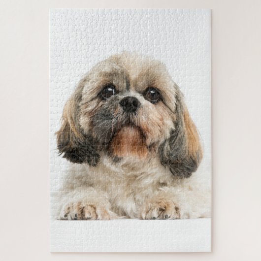 Shih Tzu Pet Dog Foto Legpuzzel (Verticaal)