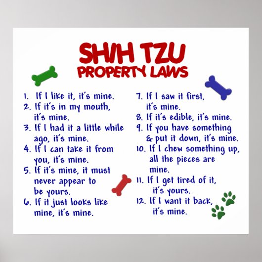 SHIH TZU PL2 POSTER (Voorkant)