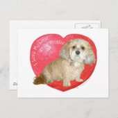Shih Tzu / Podle Mix Valentijnsdag Feestdagenkaart (Voorkant / Achterkant)