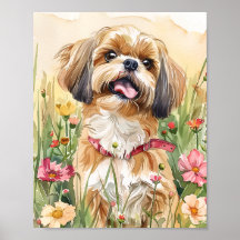 Shih Tzu Portrait Art - Schattigee Dog Wall Print 