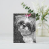 Shih Tzu Post Card Briefkaart (Staand voorkant)