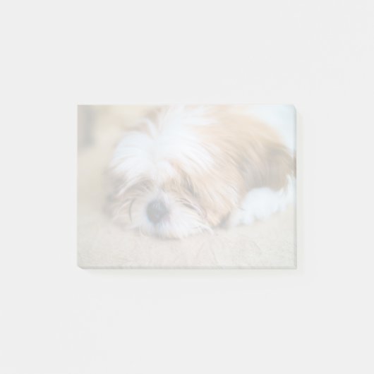 Shih Tzu Post-it® Notes (Voorkant)
