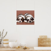 Shih Tzu Poster (Keuken)