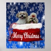 Shih tzu Poster Kerstmis (Voorkant)