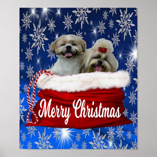 Shih tzu Poster Kerstmis (Voorkant)