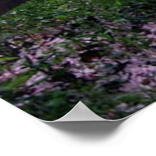 Shih Tzu Poster Purple Flowers (Hoek)