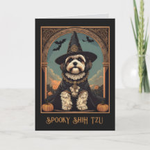 Shih Tzu Prettige Halloween Groet