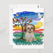 Shih Tzu Pup #2 Briefkaart (Voorkant / Achterkant)
