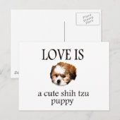 Shih Tzu Pup Briefkaart (Voorkant / Achterkant)