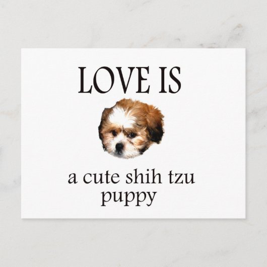 Shih Tzu Pup Briefkaart (Voorkant)