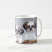 Shih Tzu puppies Koffiemok (Voorkant rechts)