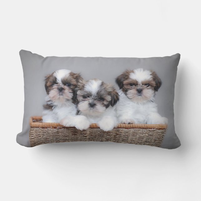 Shih Tzu puppies Kussen (Voorkant)