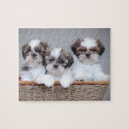 Shih Tzu puppies Legpuzzel