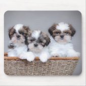 Shih Tzu puppies Muismat (Voorkant)