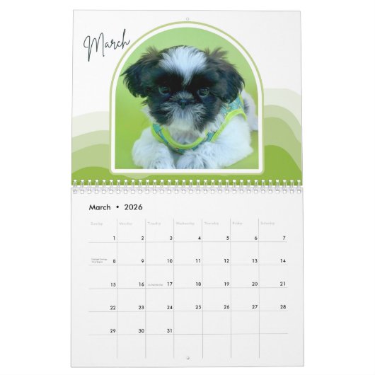 Shih-Tzu Puppies Photo Collage Calendar Kalender (Mar 2026)